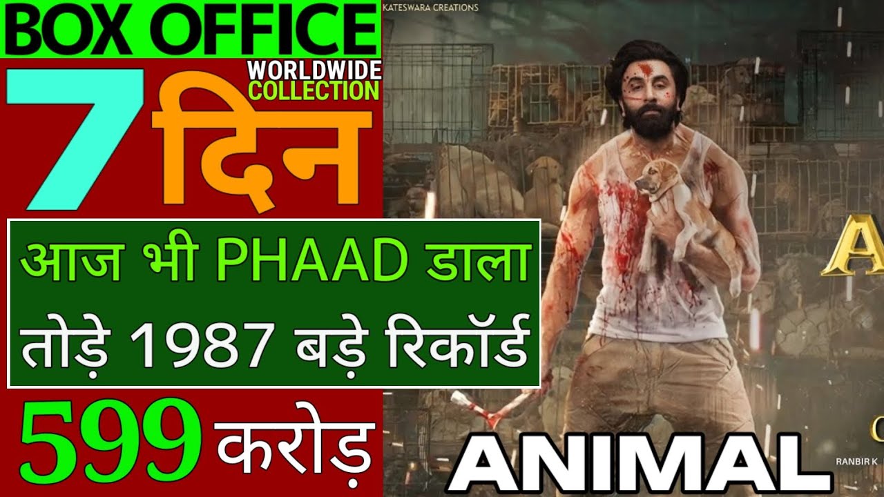 Animal 7thDay Collection | Animal Box Office Collection | Animal Day 6 Collection | Animal Movie