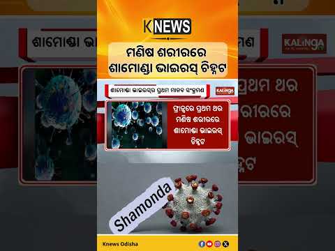 ମଣିଷ ଶରୀରରେ ଶାମୋଣ୍ଡା ଭାଇରସ୍ ଚିହ୍ନଟ || Knews Odisha