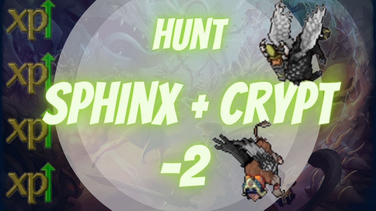 First Tibia analysis- HUNT Sphinx EK : r/TibiaMMO