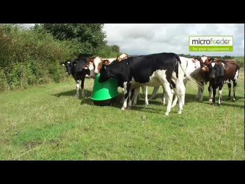 Free Choice Mineral Supplementation With Microfeeder Mineral