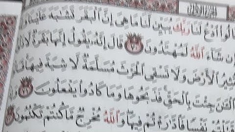 صفحة ١١ سورة البقرة