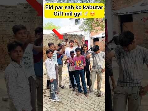 Baccho ko Eid pr kabutar Diya 🤩 #shorts #viral #pets