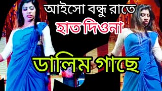আইসো বন্ধু রাতে হাত দিওনা ডালিম গাছে। Hath Diona Dalim Gache DJ | Bangla New Dance Video Song 2025 |