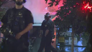 Police: Dumpster fire set by protesters spreads to nearby tree