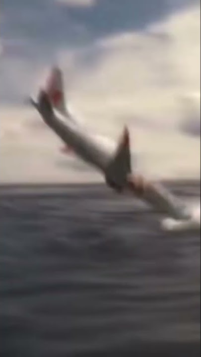 kenangan pesawat lion air jatuh di laut #lion air