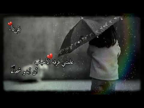 علمتني فرقة الأحباب