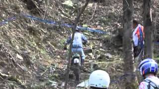 00196_Alfred_5_desMonats.wmv