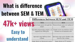 What is difference between SEM & TEM
