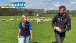 AgVentures by Herdwatch Episode 4: Cammy Wilson AKA The Sheep Game