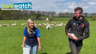 AgVentures by Herdwatch Episode 4: Cammy Wilson AKA The Sheep Game