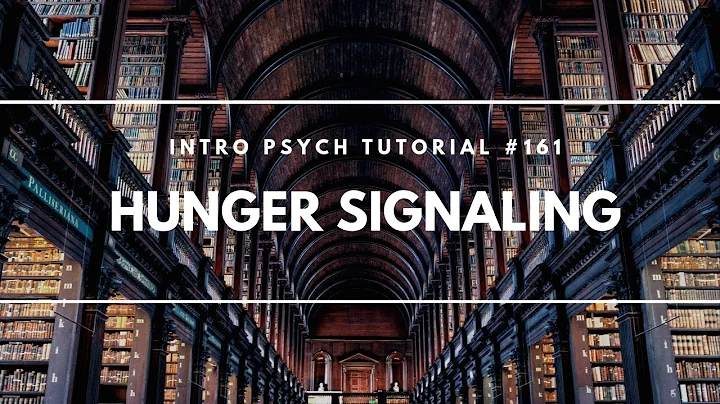 Hunger Signaling (Intro Psych Tutorial #161)