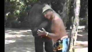 Прикол. Очень добрый Слон Прикол. Очень добрый Слон