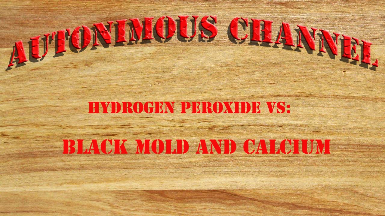 Hydrogen Peroxide Vs Black Mold YouTube