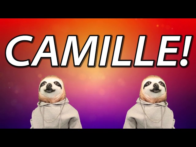 HAPPY BIRTHDAY CAMILLE! - SLOTH HAPPY BIRTHDAY RAP