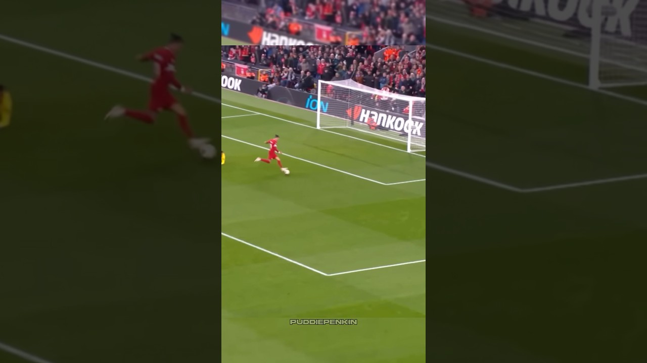 preview_player