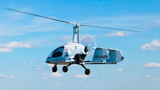 Avia LiteWings