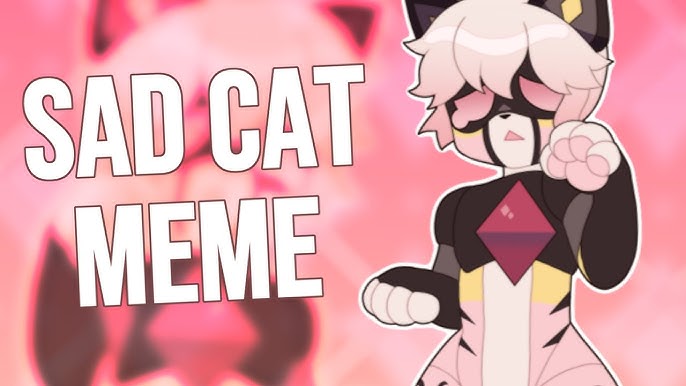 SAD CAT DANCE // ANIMATION MEME 