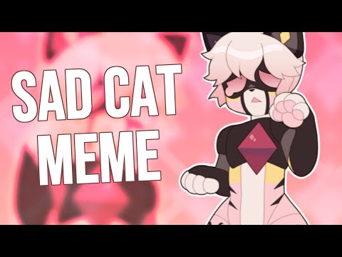 Видео: SAD CAT DANCE || MEME