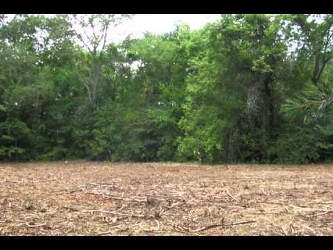 20 Bridge Street, Fairlee, VT home video tour