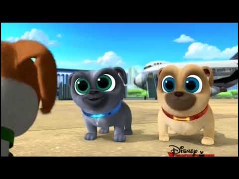 Видео: Есть ли друзья-щенки на Disney+?