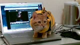 20091122.mp4