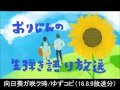 向日葵ガ咲ク時/ゆず弾き語り