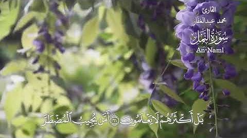 تلاوة من سورة النمل . الشيخ محمد عبدالغفار . الحجايزة السنبلاوين الدقهليه