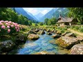 Healing Piano Melodies with River Sounds – Calm Music for Relaxation, Meditation &amp; Sleep