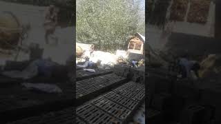 Dar Tiles Danger Pora Padgam Pora Awanti Pora Cell 917298948516