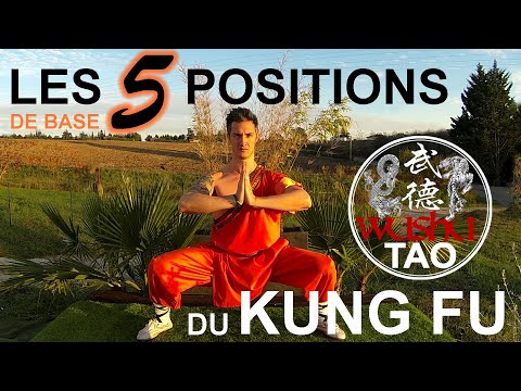 Vídeo: 4 maneres d'aprendre el Kung Fu pel vostre compte