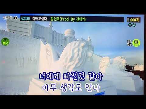 취하고 싶다(Prod. By 전태익)(황인욱) - 일반인 노래방 Cover(이해일)