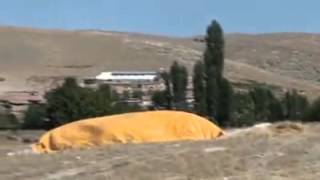 Hacıaliobası köyü Kırıkkale Keskin