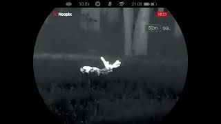 Nocpix Quest H35R Rotwild