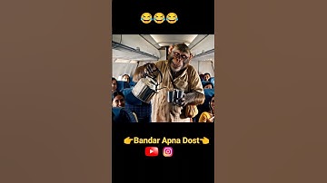 Flight mein Bandar Chai bech raha hai😂 Funny Monkey Video #Bablu #Aivlog #monkeyvlog #Viral #shorts