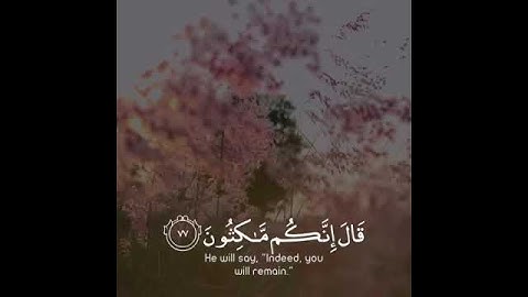 ونادرا يامالك ليقض علينا ربك || احمد خضر || سورة الزخرف