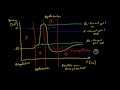 Neurobiologie - 6: Das Aktionspotential