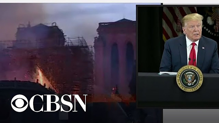 Trump calls Notre Dame fire a "terrible sight to behold"