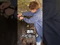 【1日目】牛のイボ取り