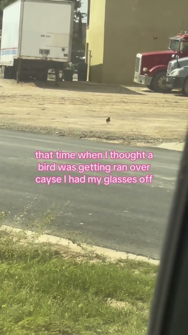 That one time it looked like a Birdio got yoooo