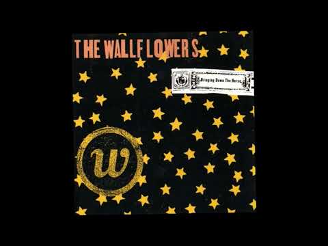 The Wallflowers One Headlight