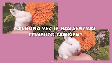 Suggi - Bunny Do [Sub Español]