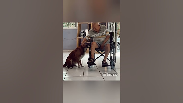 Momentos tristes captados en cámara Pt.6