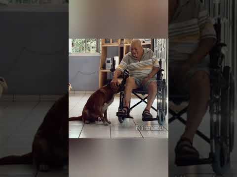 Momentos tristes captados