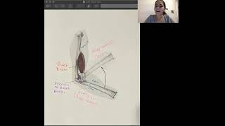 PET 3325L: Module 4 Lab Discussion Post #1 of 4 (Muscle Actions)