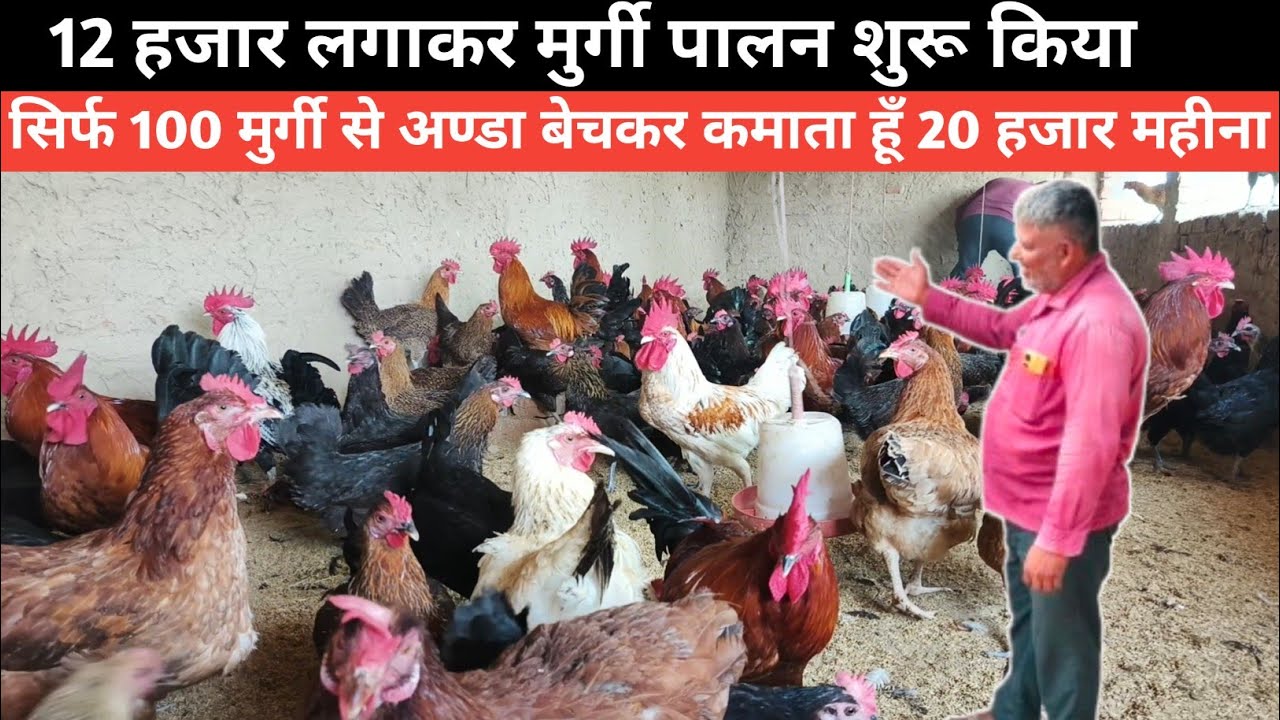 12 हजार में फार्म बना के महीने का 20 हजार कैसे कमा रहे हैं | Sonali Murgi Palan | Desi Murgi Palan