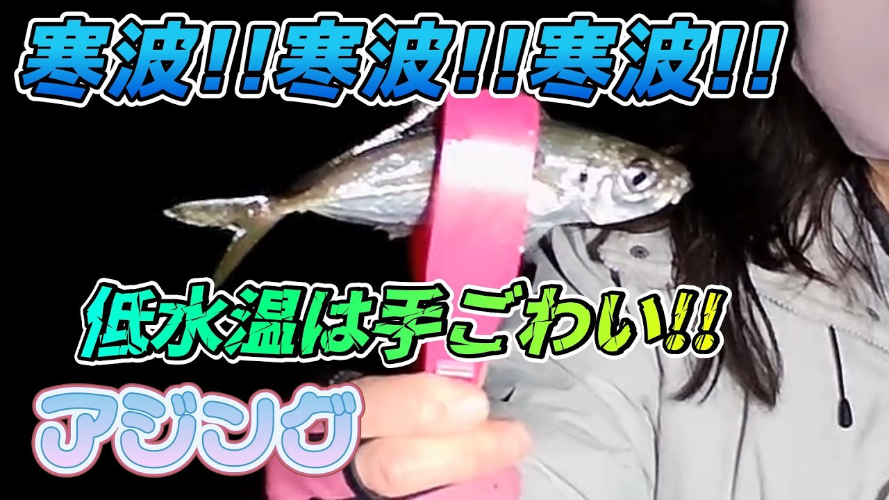 31.01.2026 Холодная волна!! Холодная волна!! Холодная волна!! Низкая температура воды – это тяжел...