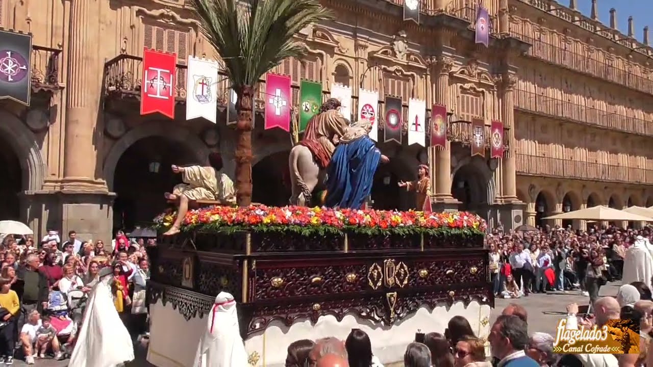 La Borriquilla en la Plaza Mayor 2025, Semana Santa Salamanca