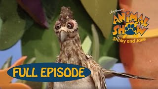 Animal Show | Marine Iguana 🦎 / Roadrunner | Jim Henson Family Hub