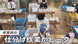 年賀状仕分け作業がピーク