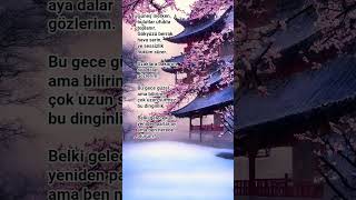 Güneş Batarken